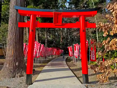 多賀大社の鳥居