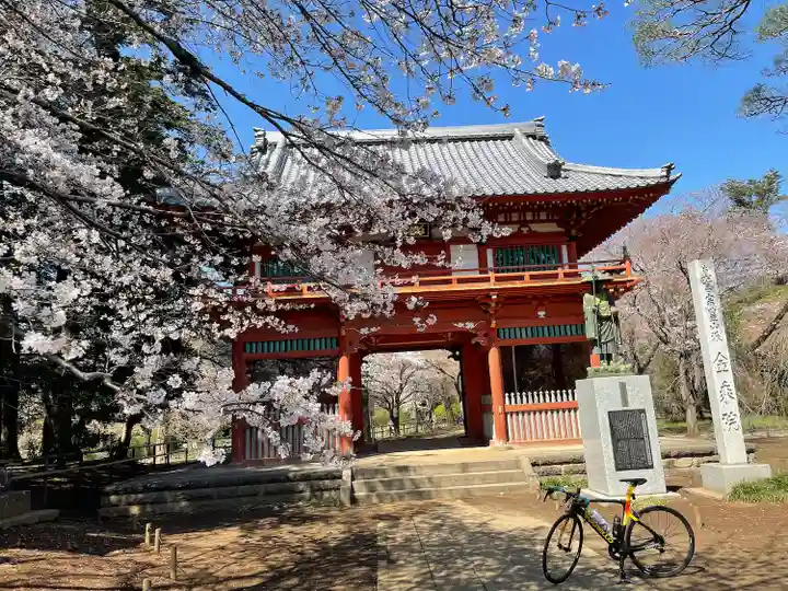 金乘院の山門・神門