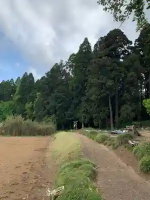 八幡神社(千葉県)