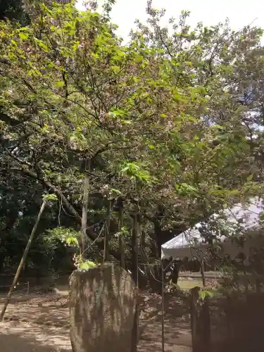 伊佐須美神社(福島県)