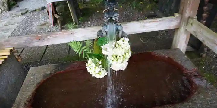 出雲大神宮の手水舎