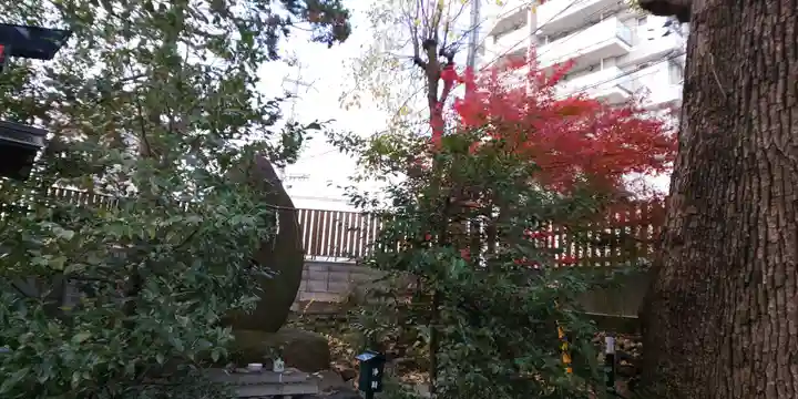 猿田彦神社の自然
