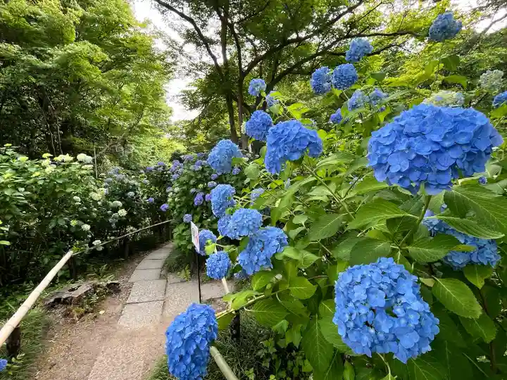 念佛院(奈良県)