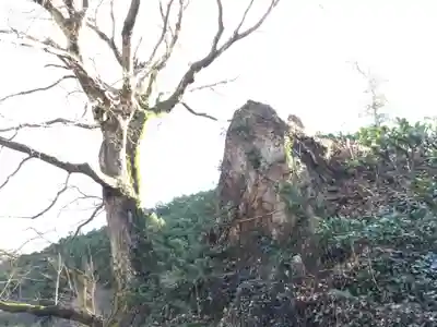 白瀧神社のその他建物