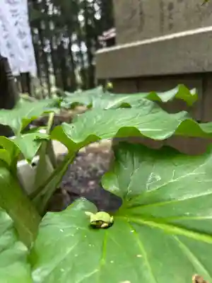坪沼八幡神社(宮城県)