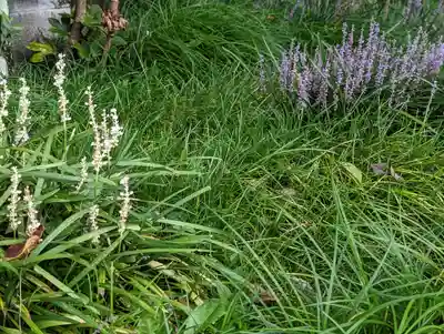 護国寺（山科檀林）(京都府)