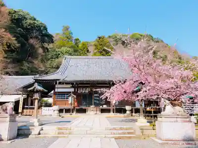 法輪寺の本殿・本堂