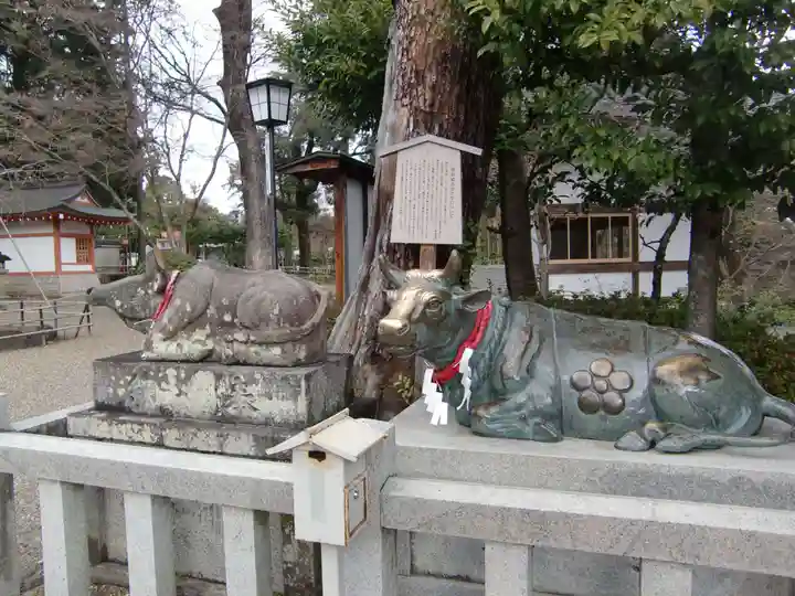 長岡天満宮(京都府)