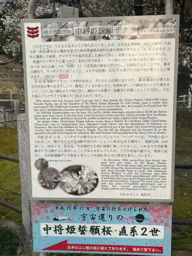 願成寺の{uncategorized: "未分類", other: "その他", undefined: "問題あり", building: "その他建物", grave: "お墓", sacred_gate: "鳥居", guardian: "狛犬", statue: "像", buddha: "仏像", history: "歴史", nature: "自然", garden: "庭園", animal: "動物", pagoda: "塔", temizu: "手水舎", mountain_gate: "山門・神門", sanctuary: "本殿・本堂", subordinate: "末社・摂社", art: "芸術", scenery: "景色", jizo: "地蔵", ema: "絵馬", goshuin: "御朱印", omikuji: "おみくじ", items: "授与品その他", amulet: "お守り", goshuincho: "御朱印帳", eats: "食事", festival: "お祭り", votive_dance: "神楽", shichigosan: "七五三参", wedding: "結婚式", experience: "体験その他", initially: "初詣", around: "周辺", anti_infection: "感染症対策"}