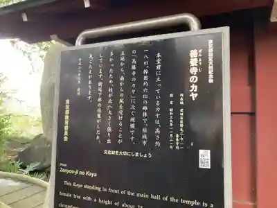 善養寺（善養密寺）(東京都)