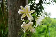 和田神社の自然