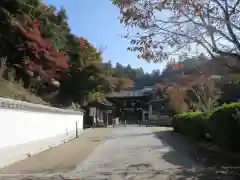 岡寺（龍蓋寺）の建物その他