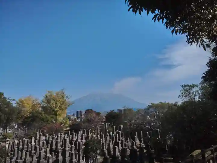 南洲神社の景色