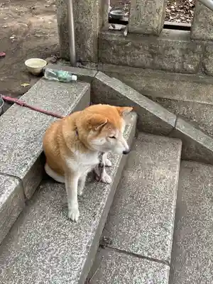 笠䅣稲荷神社(神奈川県)