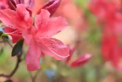 正傳（正伝）永源院(京都府)