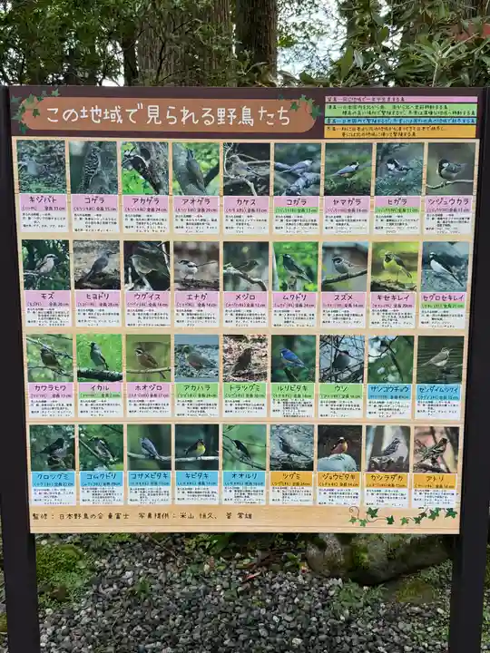 富士山東口本宮 冨士浅間神社の動物