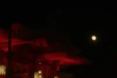 富岡八幡宮の本殿・本堂