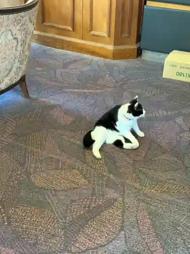 榛名神社(群馬県)