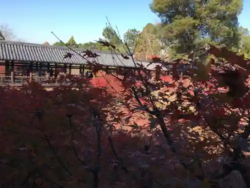 東福禅寺（東福寺）の庭園