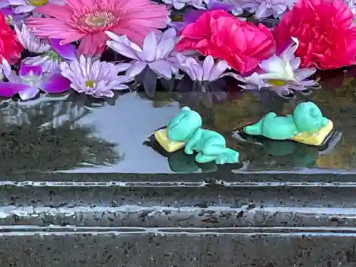 前玉神社の手水