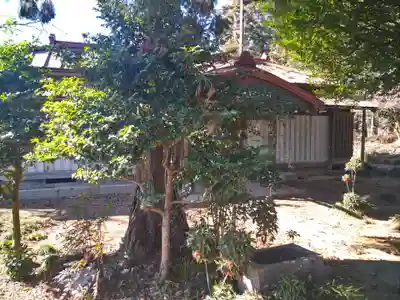 大宮住吉神社のその他建物
