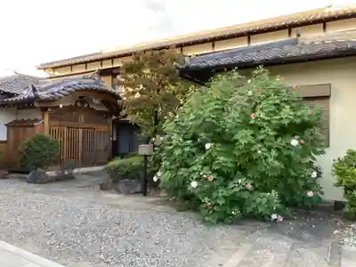 清源寺(東京都)