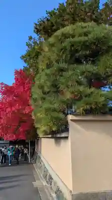 龍眠庵(竜眠庵)(京都府)