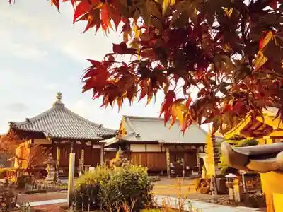 真言宗　善通寺派　薬王寺(香川県)