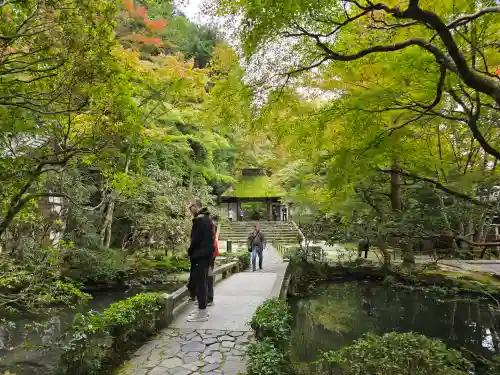 法然院(京都府)