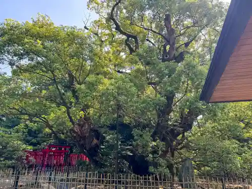 浜松八幡宮(静岡県)