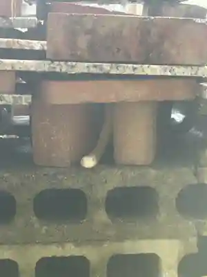 岩国白蛇神社の御朱印