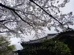 厳浄院(東京都)