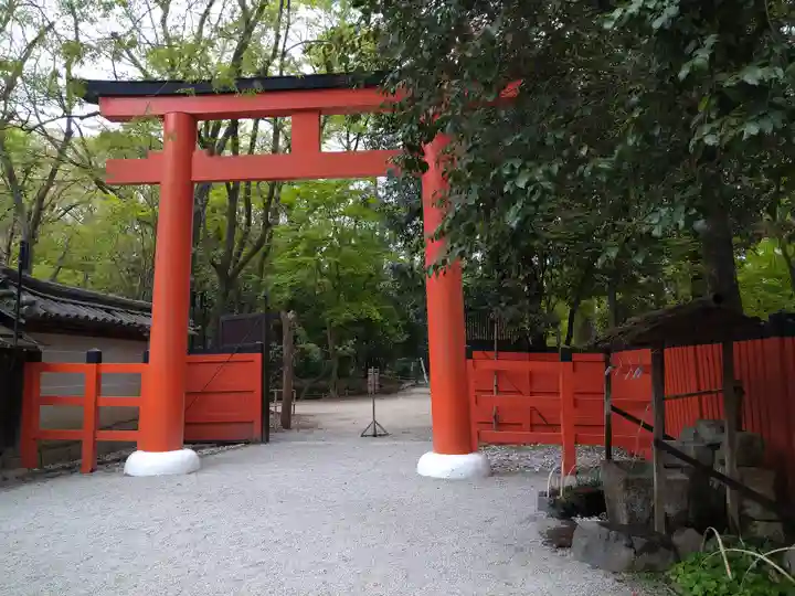 河合神社(鴨川合坐小社宅神社)の鳥居
