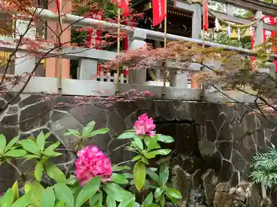 東京大神宮(東京都)
