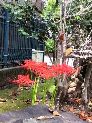 桜神宮(東京都)