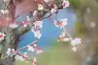 浄土寺(兵庫県)