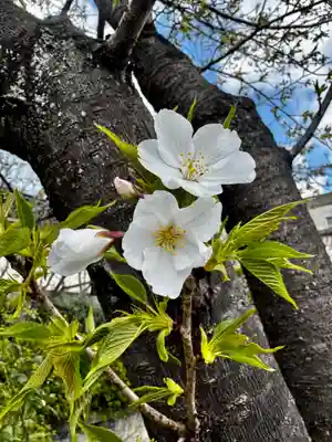 六孫王神社(京都府)