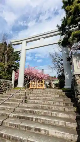 新宿下落合氷川神社の鳥居