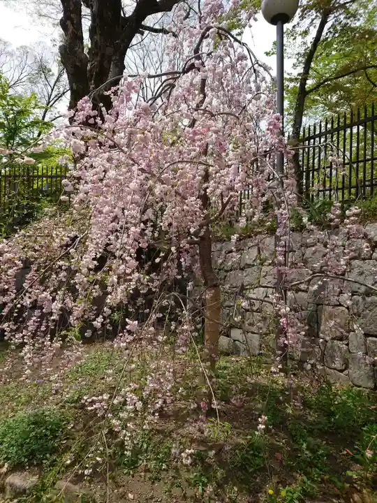北野天満宮の自然