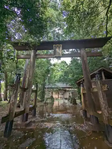 日枝神社の鳥居