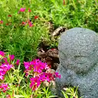 寿量山 速成寺の庭園