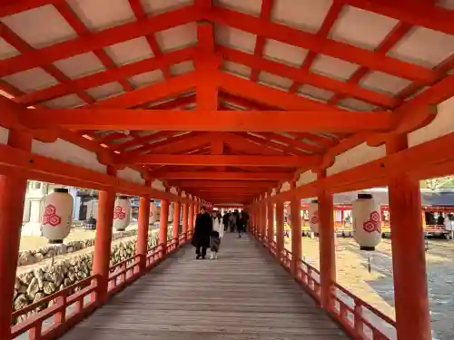 厳島神社(広島県)