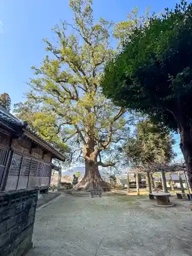 六所神社(福岡県)