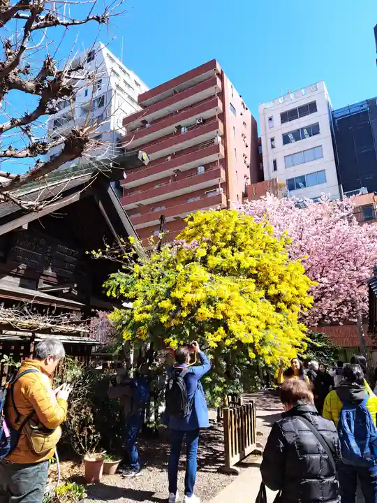 蔵前神社(東京都)