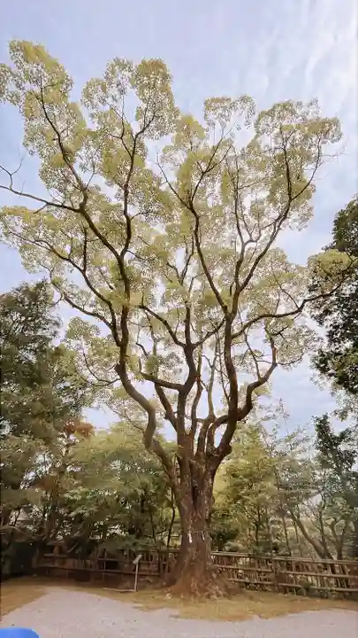 黒髪神社(佐賀県)