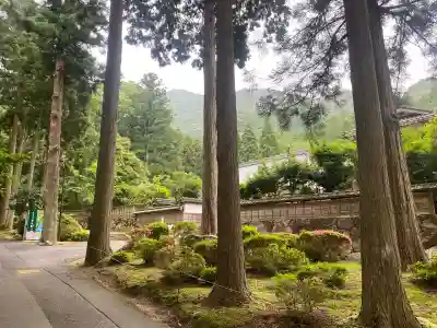 天徳寺(福井県)