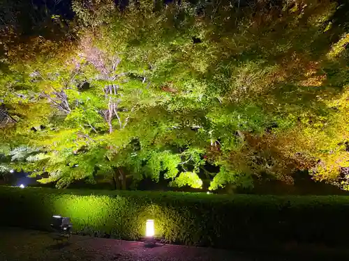 東寺（教王護国寺）(京都府)
