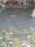 大生神社(茨城県)