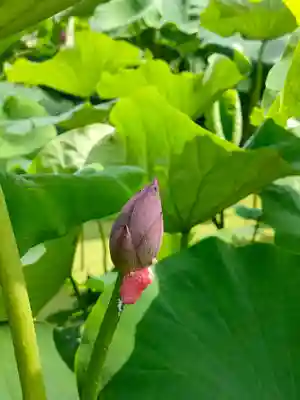 富岡神社の周辺