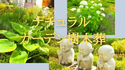 寿量山　速成寺(奈良県)
